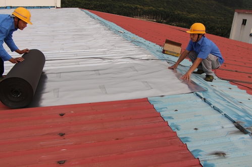 寶綠榕與您探討 建筑工程中屋頂防水工程的關(guān)鍵施工要點(diǎn)